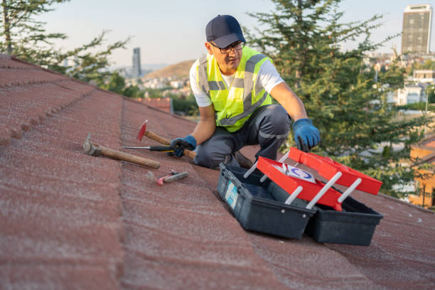 Best Insulated Siding Installation  in Demorest, GA